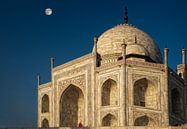 Taj Mahal India par Marcel van Balken Aperçu