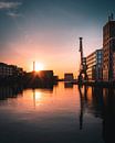 Sonnenaufgang im Stadthafen Münster von Steffen Peters Miniaturansicht