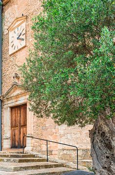 Idyllischer Blick auf einen alten Olivenbaum in einem mediterranen Dorf von Alex Winter