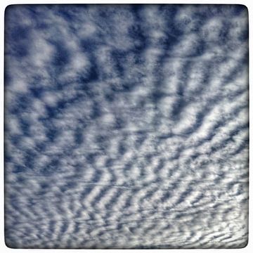 Zebra Clouds