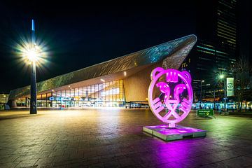 Rotterdam central station in the evening hours