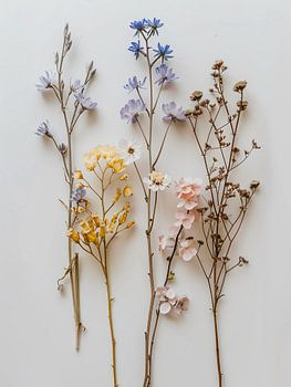 Dried flowers