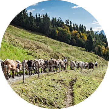 Klantenonderzoek 01-06