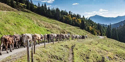 Klantenonderzoek 01-06