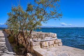Croatie : Île d'Ugljan - Preko