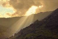 Nepal