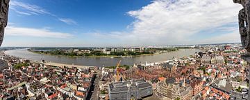 Blick von der Kathedrale von Antwerpen: Am linken Ufer