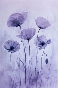 Poppy seeds