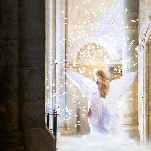 Angels are among us.