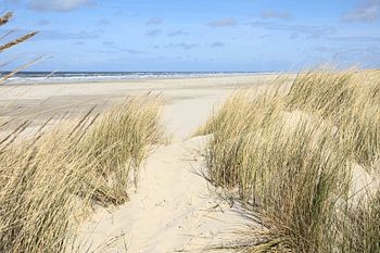 Terschelling Strandpassage