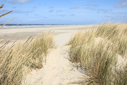 Passage de la plage de Terschelling
