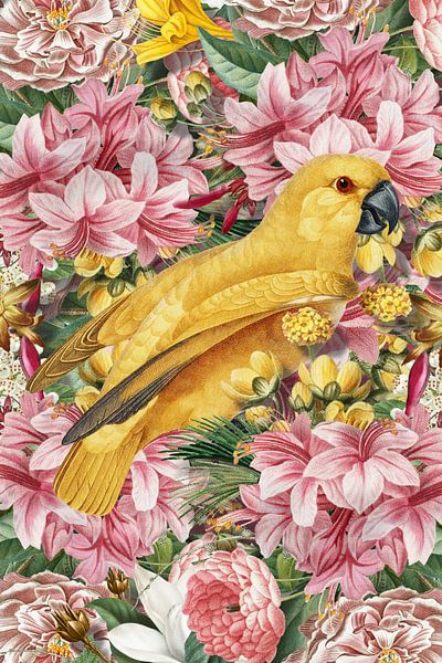 The Big Yellow in Pink by Marja van den Hurk