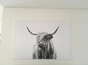 Photo de nos clients: portrait of a highland cow par Dorit Fuhg