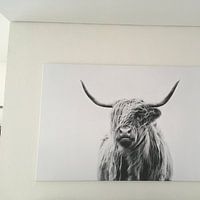 Klantfoto: portret van een hoogland koe van Dorit Fuhg, op canvas