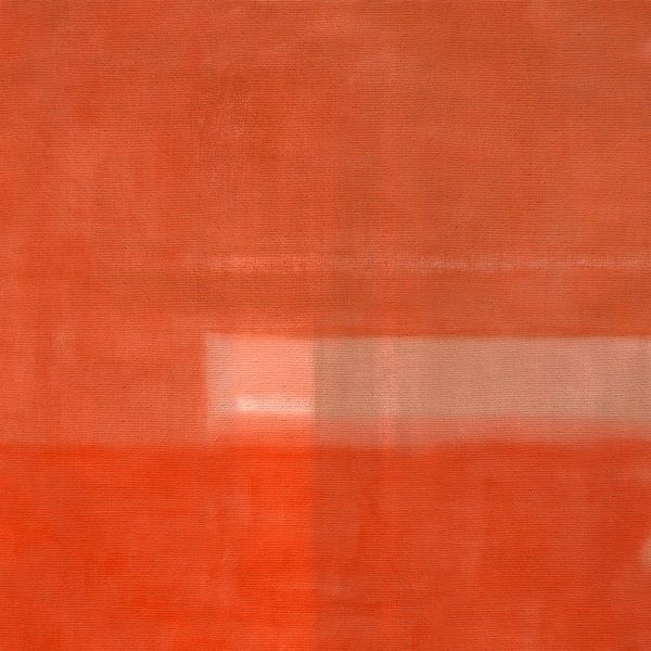 Voluntary Isolation 1 by Fernando Vieira