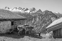Black and white from a typical Austrian picture