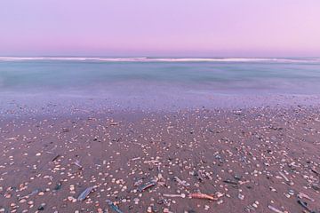 Strand Noordwijk in de ochtend van Yanuschka Fotografie | Noordwijk