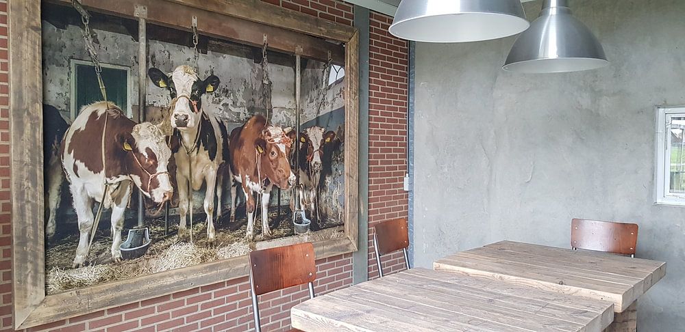 Dutch cows in an old barn, by Inge Jansen