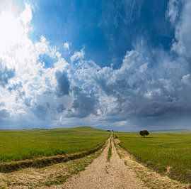 Route de campagne avec un arbre sur Rene van der Meer