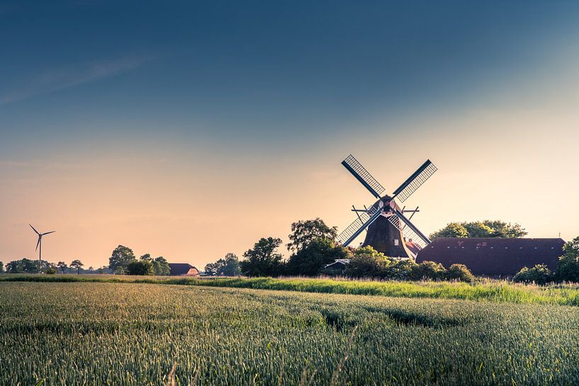 Traditionelle Windmühle in Ostfriesland, Seriemer Mühle von Conny Pokorny