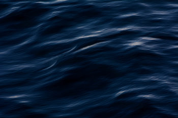 BLAUW 8