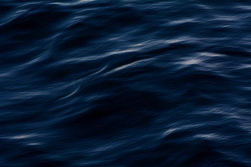BLAUW 8