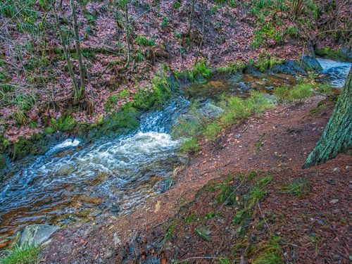 tussen de natuur stromend rivier