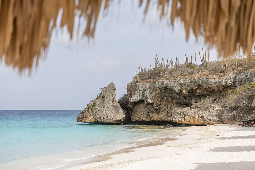 Cas abao curacao by Gladys van Schaijk