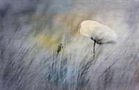 Mohnblume im Feld - Duo Tone