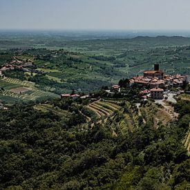 Brda wijngaarden, het Toscane van Slovenie van Lieke Dekkers