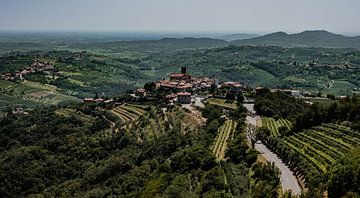 Brda vineyards, the Tuscany of Slovenia