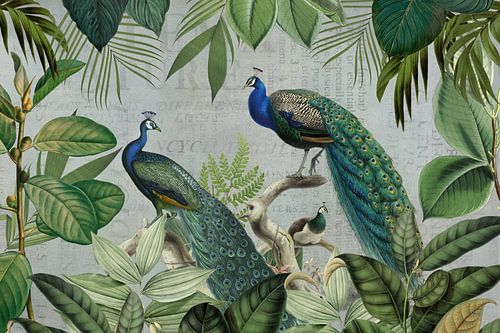 Majestic Peafowls In The Jungle And Vintage Typography by Andrea Haase