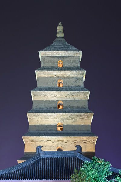 Illuminé ancienne pagode bouddhiste la nuit, Xian, Chine par Tony Vingerhoets
