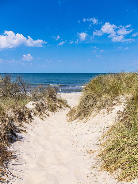 Strandzugang an der Ostseeküste bei Rosenort in der Rostocker H von Rico Ködder