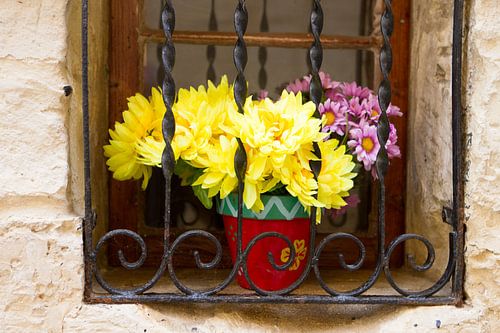 Blumenfenster in den Gassen von Malta