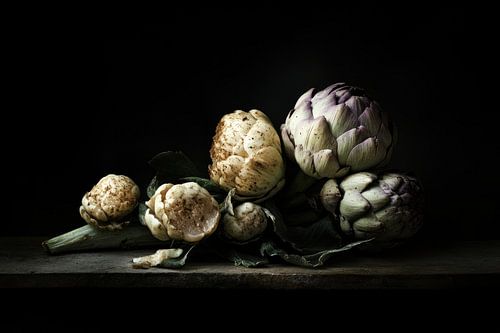 Artichoke in shadow light