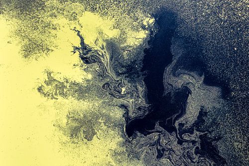 Gewirbel von nature meets camera - Adrian Ranfft
