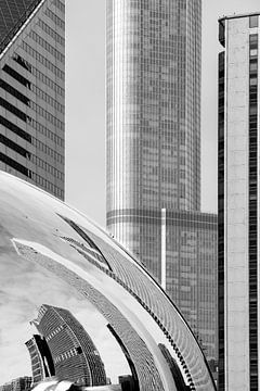 Chicago Skyline. van Rick Nederstigt