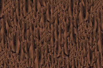 Verborgen individualiteit