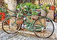 Decorative Bicycle In Cortona Tuscany by Dorothy Berry-Lound thumbnail