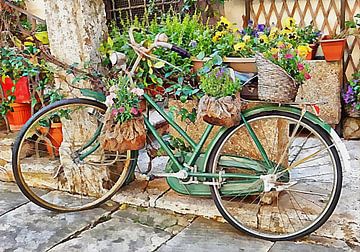 Decoratieve fiets in Cortona Toscane van Dorothy Berry-Lound