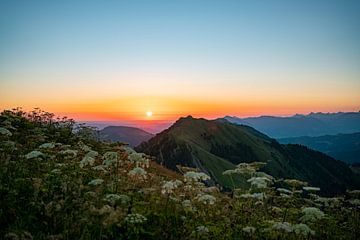 Bloemrijke zonsopgang op de Hochgrat met uitzicht op de Rindalphorn van Leo Schindzielorz