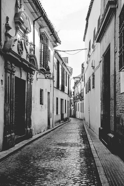 The White Towns of Andalusia or Pueblos Blancos, southern Spain. by Fotografiecor .nl