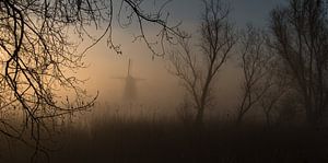 Mill in the fog