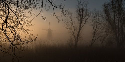 Molen in de mist