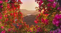 Sunset through Rose Window - Enchanting view of Douro Valley