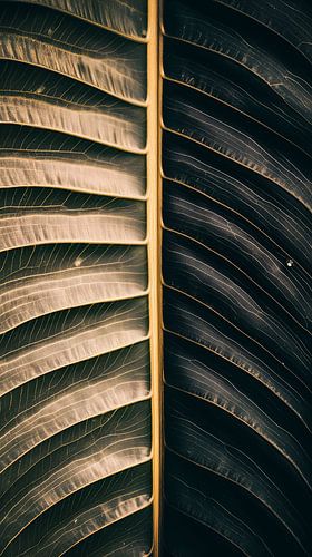 Monochrome Minimalism