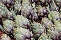 artichokes on the market