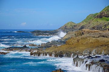 Botsend tegen de kust van Frank's Awesome Travels