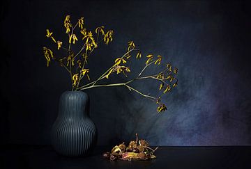 Autumn dream by Saskia Dingemans Awarded Photographer